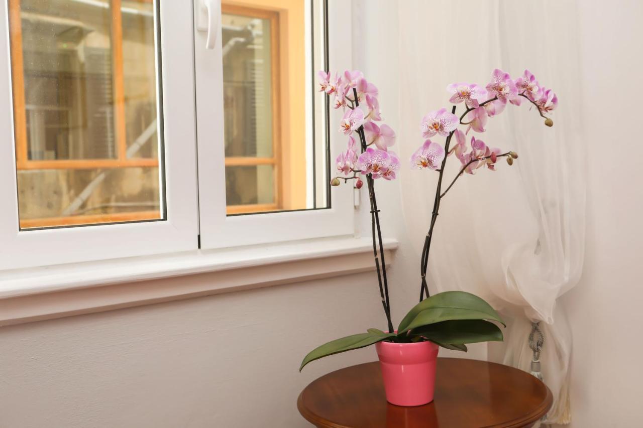 Apartment Liston Anastasia *